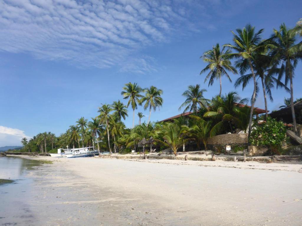 Island View Beachfront Resort Anda  Exteriör bild